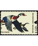1362, Mint NH 6¢ Misperfed Error Duck Stamp * Stuart Katz - $35.00