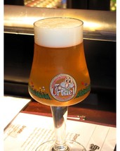 Urthel Hop-It IPA, The Leyerth Brewery, Belgian Craft Beer Glass/Chalice - $9.95
