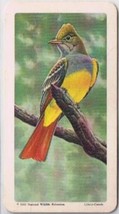 Brooke Bond Red Rose Tea Card #9 Crested Flycatcher Canadian American Songbirds - £0.76 GBP