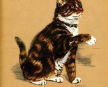 Gladys Emerson Cook Color Cat Print Brown Tabby - $10.89