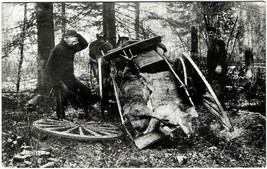 Early 1900s Crashed Carriage w/Dead Dear in Cart RPPC Real Photo Postcard - £11.86 GBP