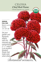 Fresh Organic Chief Red Flame Celosia Seeds 30 Seeds US Seller - £13.68 GBP