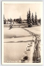 Winter Trail Timberline Lodge Gov&#39;t Camp Oregon RPPC Sawyer Photo Postcard Y26 - £6.37 GBP