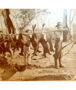Kangaroo Hunters Bringing Game New South Wales Australia 1903 Kilburn St... - $124.17 CAD