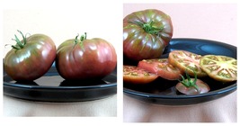 Live Plant - Black Brandywine Tomato - Great Flavor - 4&quot; Pot - £36.80 GBP