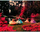 Southern Belles Among Cypress Trees Cypress Gardens FL Chrome Postcard I8 - $3.91