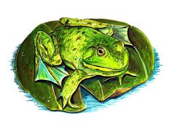 Frog on Lily Pad Vinyl Decal Sticker Truck Boat Car Tumbler Cooler Cup Cooler - £5.53 GBP+
