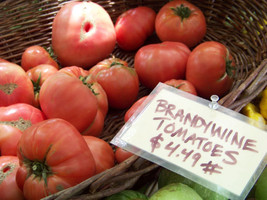 Tomato Brandywine 35 Seeds Fresh USA Fast Shipping - £7.23 GBP