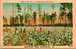 Generic Greetings Cotton Field Montezuma Georgia GA UNP Linen Postcard S21 - £15.87 GBP