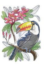 Nature Weaved in Threads, Amazing Birds Kingdom [ Tropical Toucan Sketch ] [Cust - £17.33 GBP