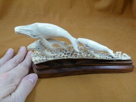 Whale-52 Humpback pod of 3 Whales of shed ANTLER figurine Bali detailed carving - £110.02 GBP