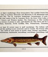 Muskie 1939 Fresh Water Fish Art Gordon Ertz Color Plate Print PCBG20 - €25,76 EUR