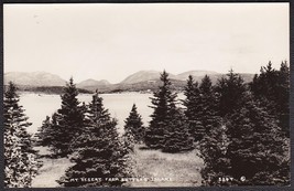 Mount Desert, Maine from Sutton&#39;s Island RPPC - Real Photo Postcard #524T - £9.65 GBP