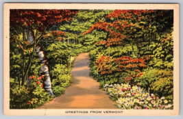 Vintage Greetings from Vermont landscape fall trees pathway Postcard - £3.91 GBP