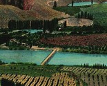 Perrine Ranch Blue Lakes SNAKE RIVER IDAHO 1916 Wesley Postcard 3589  - £3.07 GBP
