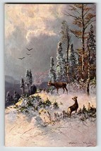 Deer Mountain View Birds Snow Postcard Signed Muller Wildlife HKM 419 Germany - $18.00