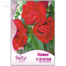 Fire Red Impatiens FLowers 25pcspack improve the environment light up yo... - $7.89