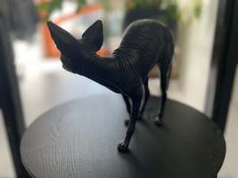 Item image 6