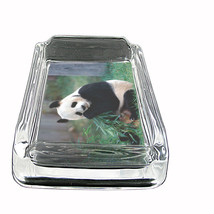 Panda Glass Ashtray D5 4&quot;x3&quot; Giant Bear Black and White Cute Fluffy Rare Mammal - £39.86 GBP