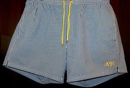 Hugo Boss Blue Striped Mens Swim Shorts Beach Athletic Size XXL NEW - $69.82