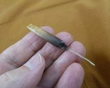 (w32-14) North American Porcupine tail quill Erethizon dorsatum craft su... - $16.82