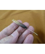 (w32-14) North American Porcupine tail quill Erethizon dorsatum craft su... - $23.22 CAD