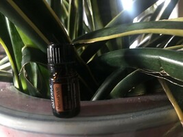 doTERRA MetaPWR  5 mL Essential Oil NEW &amp; SEALED Exp 12/28 - $276.05 MXN