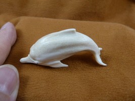Dolph-23 white swimming Dolphin of shed ANTLER figurine Bali detailed ca... - $33.65