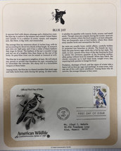 American Wildlife Mail Cover FDC &amp; Info Sheet Blue Jay 1987 - £7.79 GBP