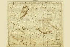 Pisces by Sir John Flamsteed - Art Print - £17.37 GBP+