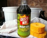 Crest-O-Mint Concentrated Oil Cleaner-Deodorant Degreaser Wintergreen, 1... - $19.28