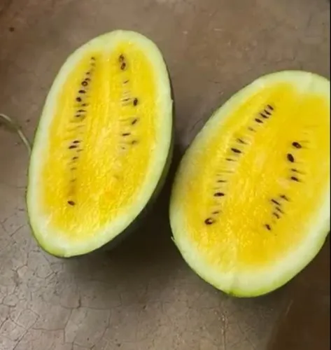 10 Yellow Flesh Janosik Watermelon Fruit Seeds for Garden - £7.93 GBP