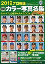 NPB Japan Baseball Players Data 2019 Japanese book Guide Giants Tigers Carp B.B. - £22.17 GBP
