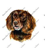 Boykin Spaniel South Carolina State Bird Dog Camp Auto Boat Vinyl Sticke... - $132.10 MXN+