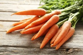 THJAR Scarlet Nantes Carrot Seeds For Planting | 100+ Seeds | Grow Your Own Vege - £12.60 GBP