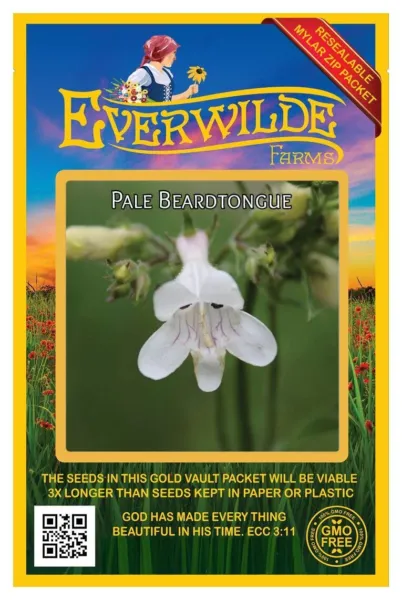 500 Pale Beardtongue Wildflower Seeds Farms Mylar Seed Packet Fresh Garden - £7.59 GBP