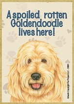 A spoiled rotten Goldendoodle lives here NICE Fridge Dog Magnet 2.5X3.5 ... - £3.90 GBP