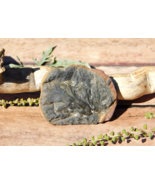 Natural Carboniferous Fern Leaf Fossil in Shale 22g from Missouri USA Co... - $46.64 CAD