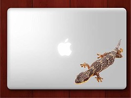 Banded Velvet Gecko - Laptop Decal - 4&quot; tall x 4&quot; wide - £4.05 GBP
