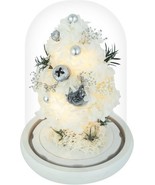 Mini Preserved Christmas Tree in Glass Dome w/Light, Eternal Flowers, Gi... - $640.42 MXN
