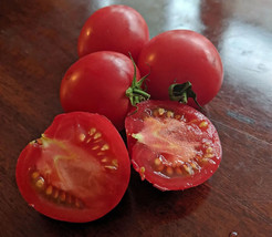 Arkansas Traveler Tomato Seeds, NON-GMO, Heirloom, Heat Tolerant, FREE SHIP - £1.99 GBP+