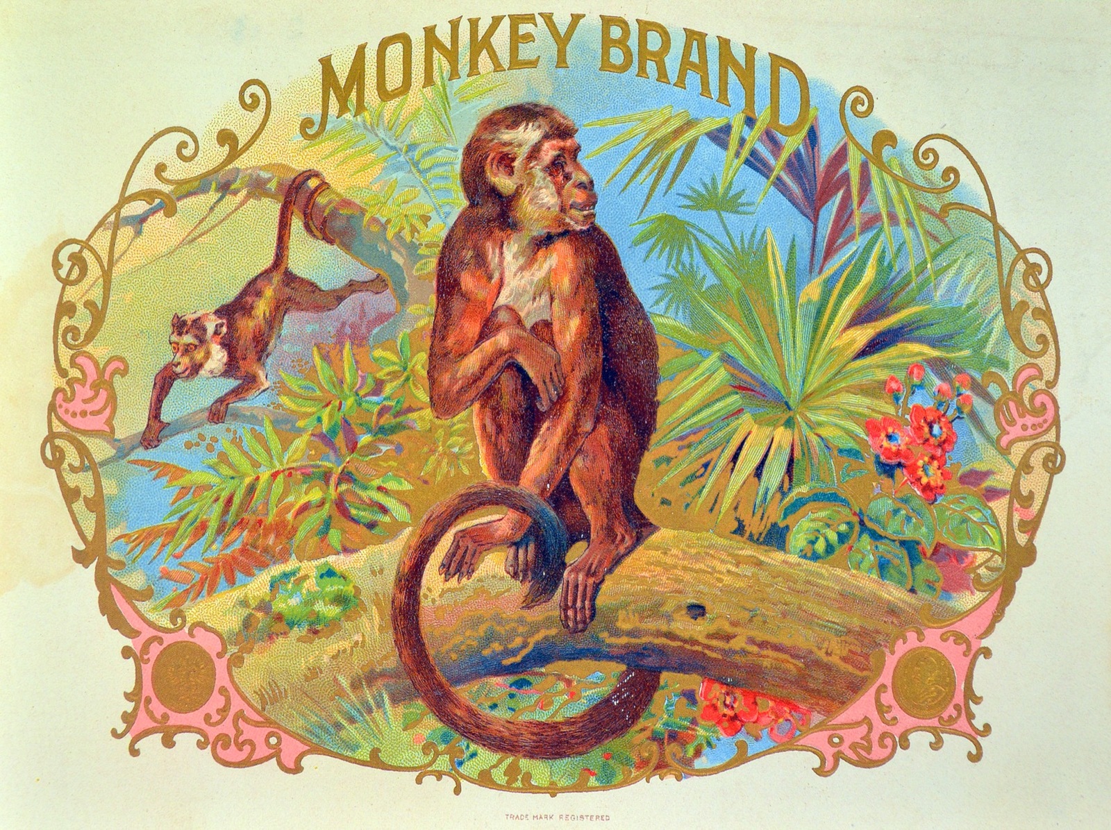 10885.Poster decoration.Home interior.Room design.Monkey cigar label art decor