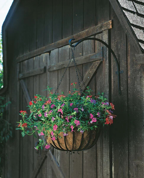 Hanging Plants Curved Hook 16&#39;&#39; L, Iron, Powder-Coated, Black - Panacea ... - $24.74