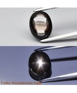 Natural 2.01ctw 8x6.3mm Oval Cabochon Black 6Ray Star Sapphire Unheated ... - £106.51 GBP
