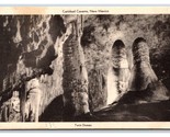 Twin Domes Carlsbad Caverns New Mexico NM Postcard V13 - $3.91