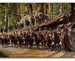 Troops On Fallen Monarch Mariposa Big Tree Grove Yosemite CA UNP DB Post... - $6.88