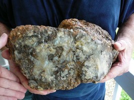 DF860-1) 26 Pound Fossil Real Dinosaur Poop Coprolite Dino Valley Utah Dung Poo - £419.07 GBP