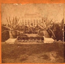 Shaw&#39;s Missouri Botanical Garden Parterre Palm House Boehl &amp; Koenig Stereoview - £12.05 GBP