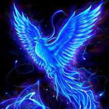 Dna Activation Service Awaken The Phoenix Within Normally Priced @ $599 - £116.53 GBP