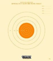 B-2 Official 50 Foot Slow Fire Pistol Target (25 per package) orange bul... - €12,22 EUR B-2 Official 50 Foot Slow Fire Pistol Target (25 per package) orange bul... - €12,22 EUR
